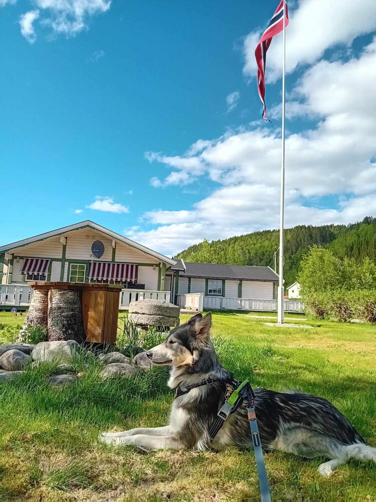 Nordnes Kro og Camping Rokland Exterior foto